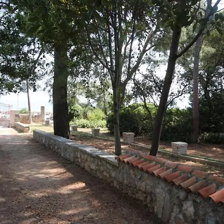 Apartman By The Sea Zdrelac, Pasman - 8307
